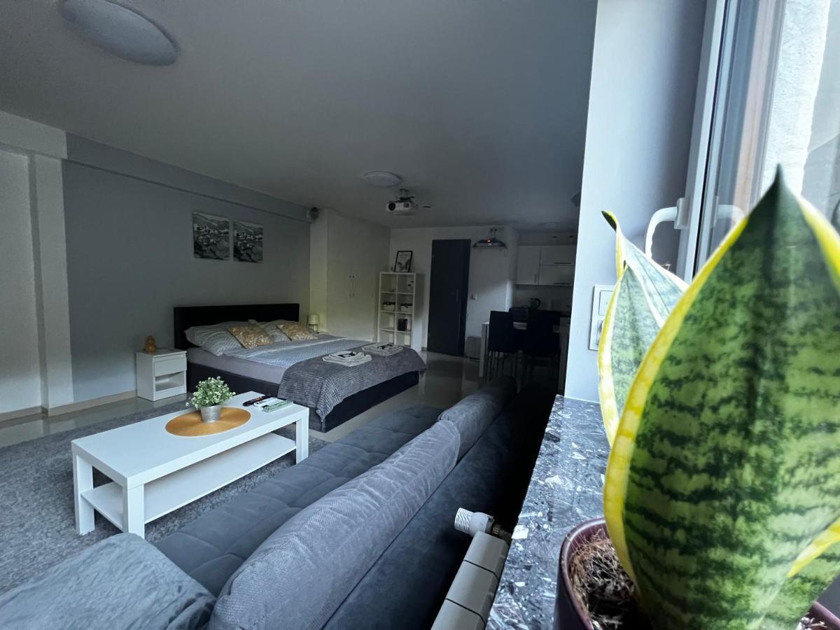Apartament Play Pietrzykowice  Ngoại thất bức ảnh